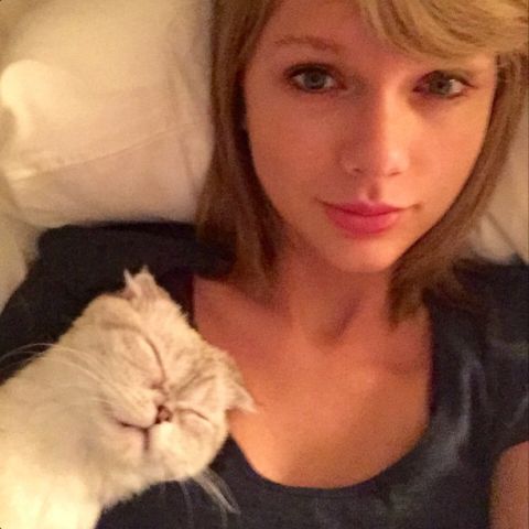 taylor swift with her sleeping cat