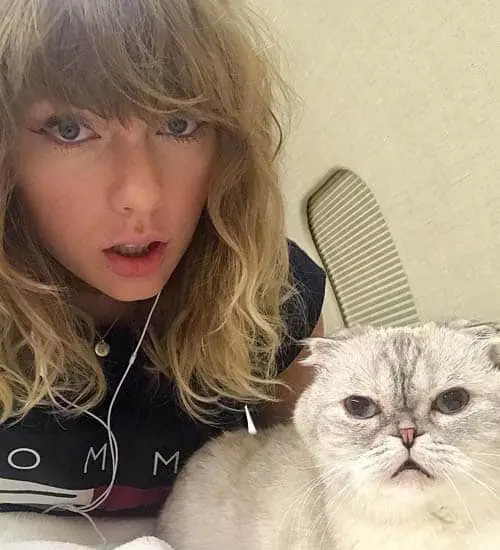 taylor swift posing with her cat