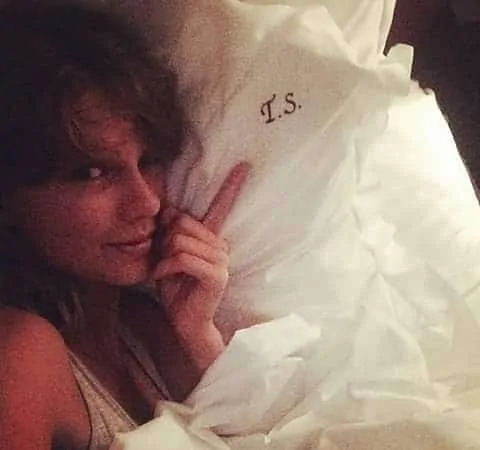 taylor swift pointing at TS pillow