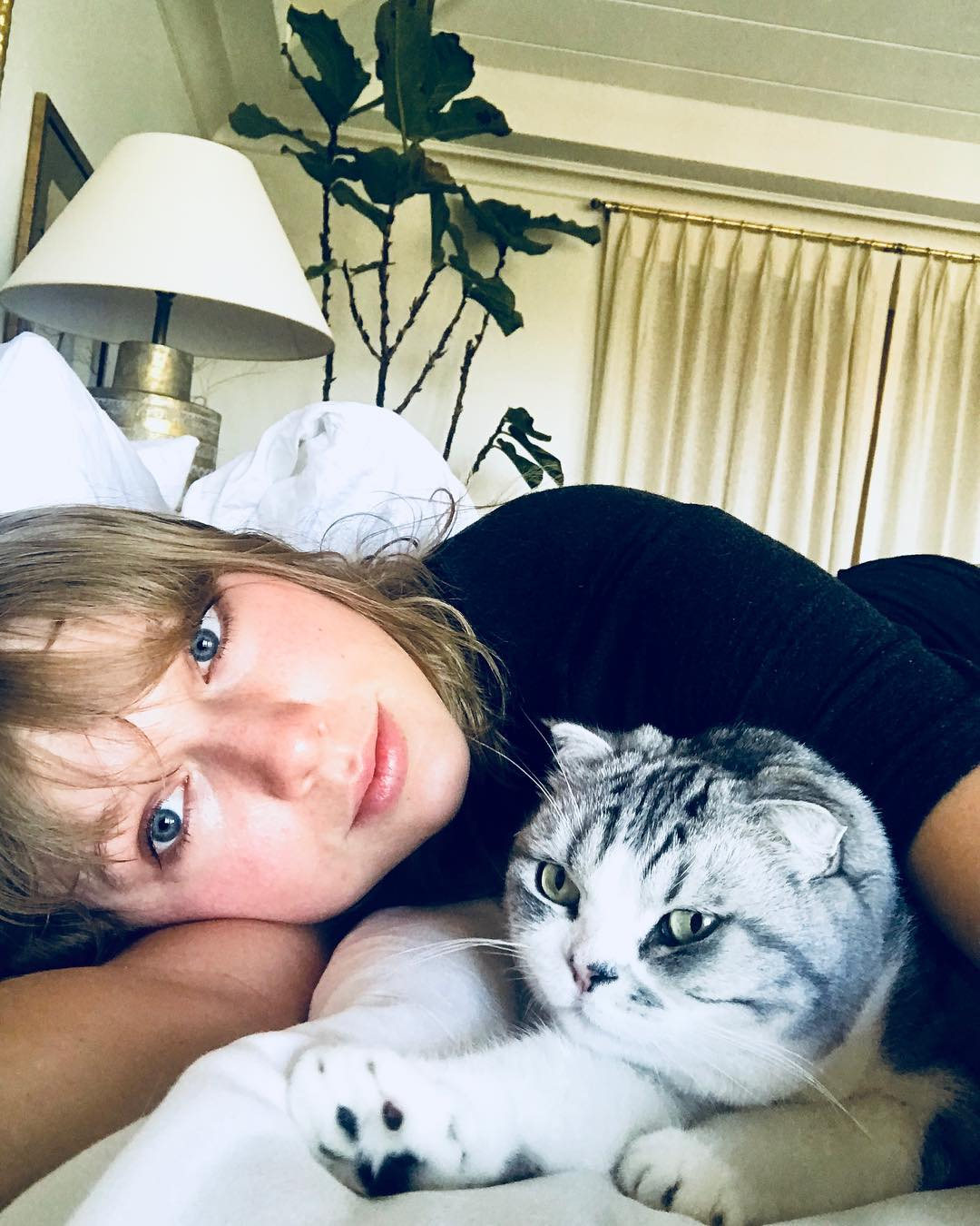 taylor swift announcing show with her cat
