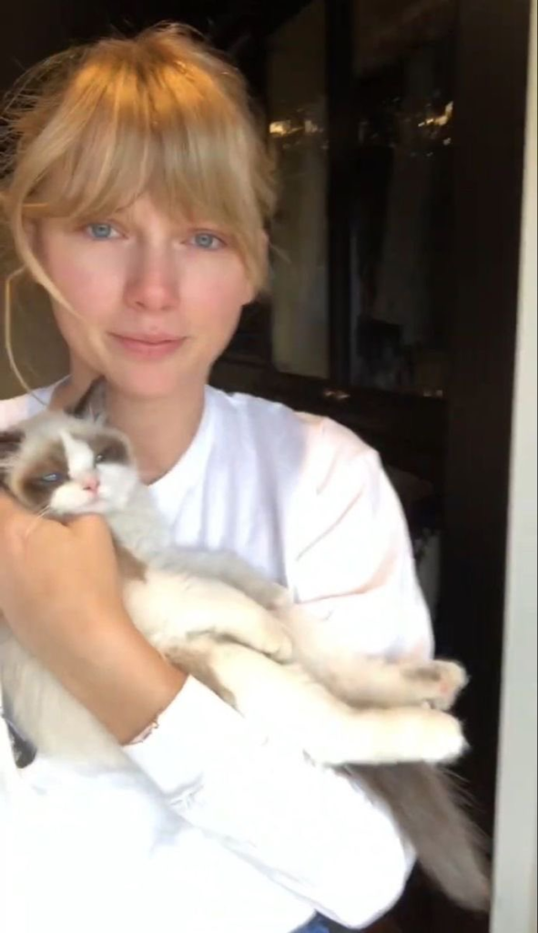 taylor swift with her feline friend