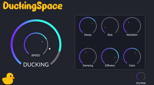 duckingspace